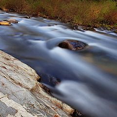 photo "Spring water"