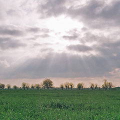фото "Лучи солнца над зеленым полем"