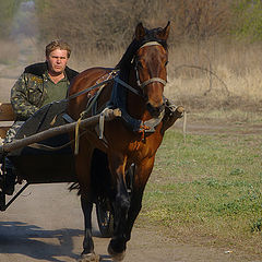 фото "рысью..."