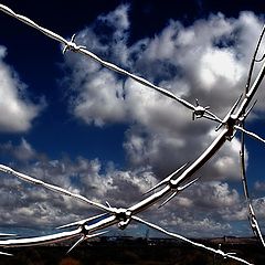 фото "clouds of freedom"