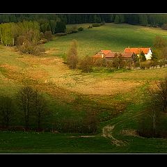 photo "Loneliness"