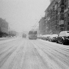 фото "снег"