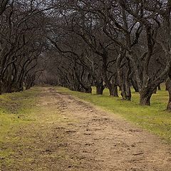 фото "Уйти и ..."