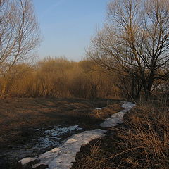 фото "Раняя весна"