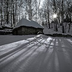 фото "из зимнего..."