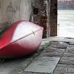 photo "Red and stone"