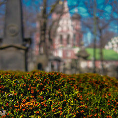 photo "Spring at a cemetery #2"