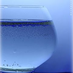 photo "Magic bubbles"