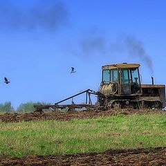 photo "Field works"