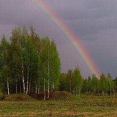 фото "Первая зелень."