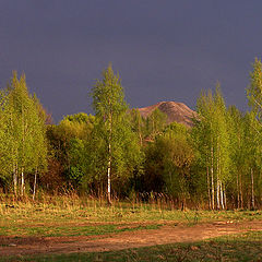 фото "Перед дождем."