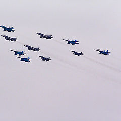 photo "Today in the sky such birds."