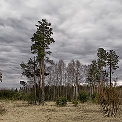 фото "Хмурое утро"