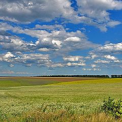 фото "Облака"