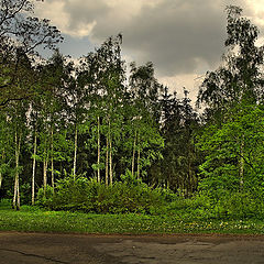 фотоальбом "парк "Софиевка""