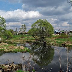 фото "Цвета мая"