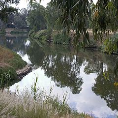 photo "Yarkon"