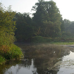 photo "Summer morning"