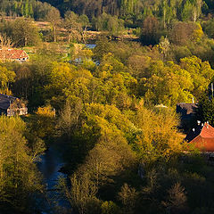 photo "The piece of spring"