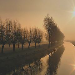 photo "sunrise in the fog."