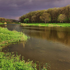 фото "Перед грозой"