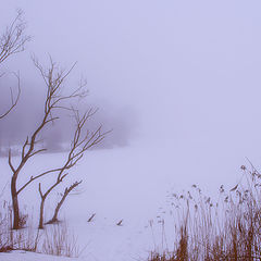 photo "***"