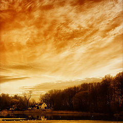 photo "***"