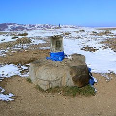 фото "Черепаха Каракорума"