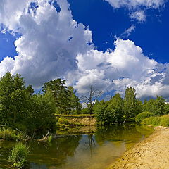 фото "Летняя"