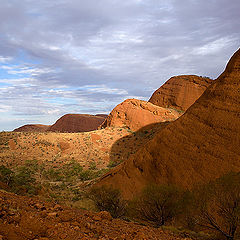 фото "The evening sun"