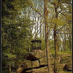 photo "The Arbor"