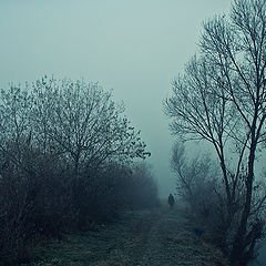 photo "blue fog"