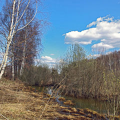 фото "весна"