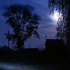 фото "Тиха деревенская ночь..."