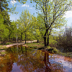 фото "Весенний разлив"