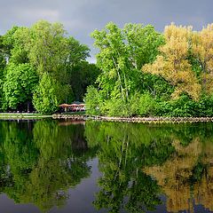 фото "Предгрозовое ..."