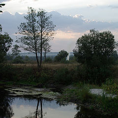 photo "Evening reflections"