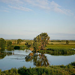 photo "View over the Fence"