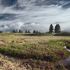 фото "Омега"