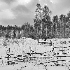 фото "Невесенняя"