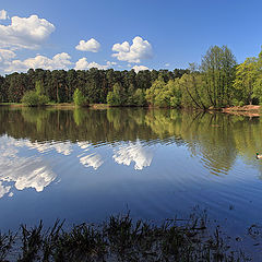 фото "Весна"