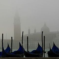 фото "Venice morning"