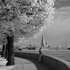 photo "IR-Petersburg"