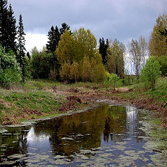 фото "Лесное озерцо"