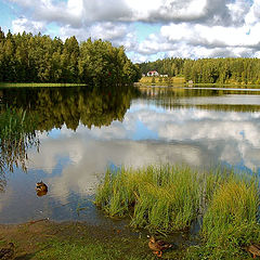 photo "***"