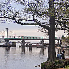 photo "Wooden Bridge"