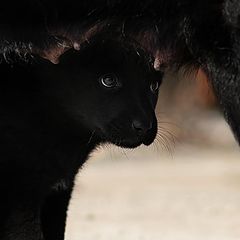 photo "I shall drink frOm Tthis"