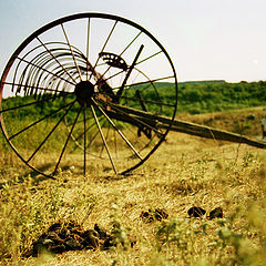 фото "Крымское сельское хозяйство"