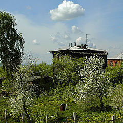 фото "Улица Салавата."