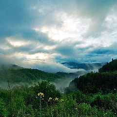 photo "Near the clouds"